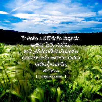 Picture 05 - ఆదికాండం 4:26 TELIRV - షేతుకు ఒక కొడుకు - Bible Verse Picture