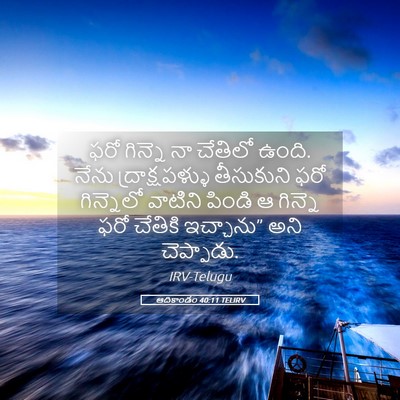 Picture 05 - ఆదికాండం 40:11 TELIRV - ఫరో గిన్నె నా - Bible Verse Picture