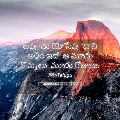 Picture 05 - ఆదికాండం 40:12 TELIRV - అప్పుడు యోసేపు - Bible Verse Picture