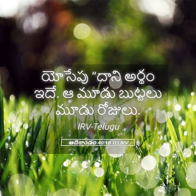 Picture 05 - ఆదికాండం 40:18 TELIRV - యోసేపు “దాని - Bible Verse Picture