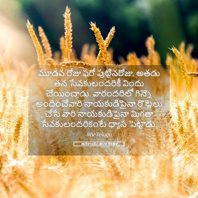 Picture 05 - ఆదికాండం 40:20 TELIRV - మూడవ రోజు ఫరో - Bible Verse Picture