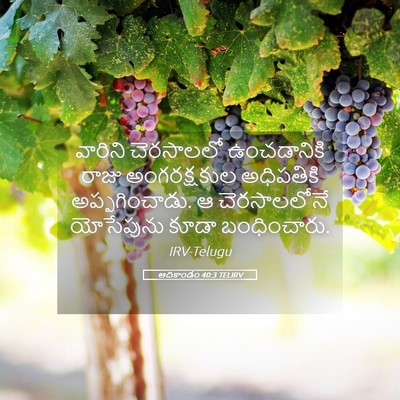 Picture 05 - ఆదికాండం 40:3 TELIRV - వారిని చెరసాలలో - Bible Verse Picture