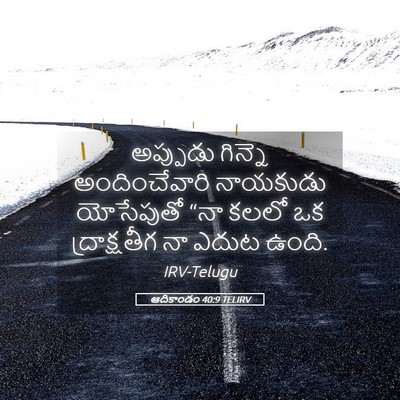 Picture 05 - ఆదికాండం 40:9 TELIRV - అప్పుడు గిన్నె - Bible Verse Picture