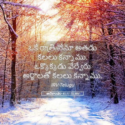 Picture 05 - ఆదికాండం 41:11 TELIRV - ఒకే రాత్రి నేనూ - Bible Verse Picture