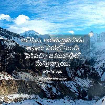 Picture 05 - ఆదికాండం 41:18 TELIRV - బలిసిన, అందమైన ఏడు - Bible Verse Picture