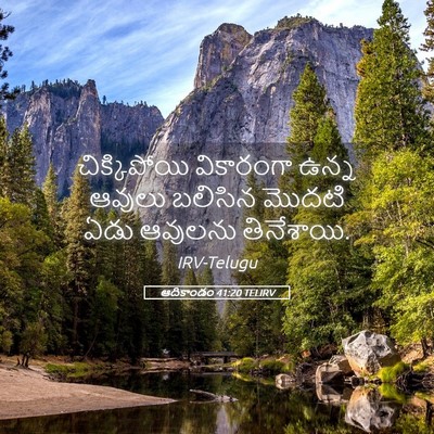 Picture 05 - ఆదికాండం 41:20 TELIRV - చిక్కిపోయి - Bible Verse Picture