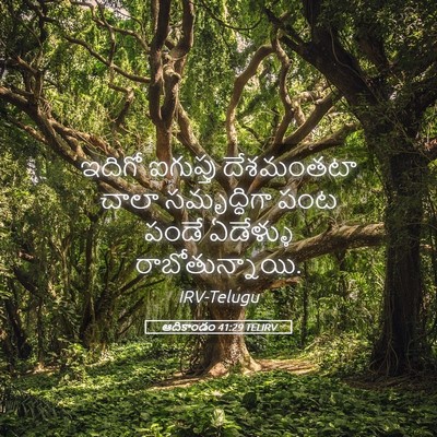 Picture 05 - ఆదికాండం 41:29 TELIRV - ఇదిగో ఐగుప్తు - Bible Verse Picture