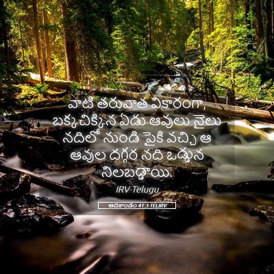 Picture 05 - ఆదికాండం 41:3 TELIRV - వాటి తరువాత - Bible Verse Picture
