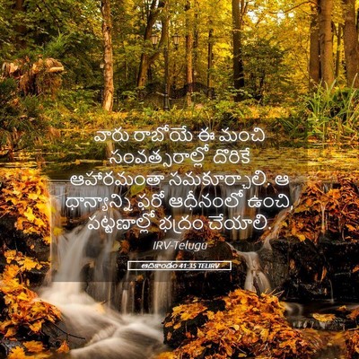 Picture 05 - ఆదికాండం 41:35 TELIRV - వారు రాబోయే ఈ మంచి - Bible Verse Picture