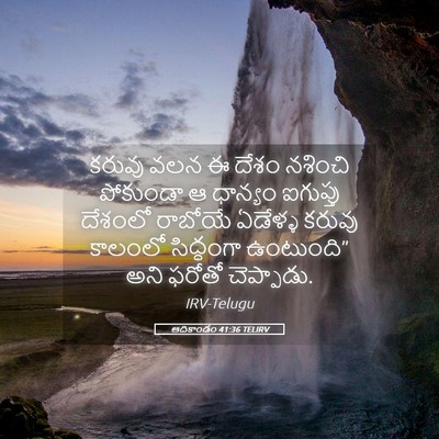 Picture 05 - ఆదికాండం 41:36 TELIRV - కరువు వలన ఈ దేశం - Bible Verse Picture
