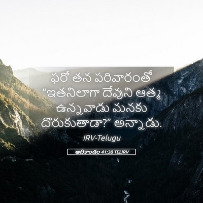 Picture 05 - ఆదికాండం 41:38 TELIRV - ఫరో తన పరివారంతో - Bible Verse Picture