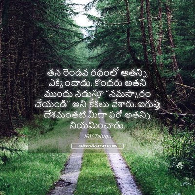 Picture 05 - ఆదికాండం 41:43 TELIRV - తన రెండవ రథంలో - Bible Verse Picture