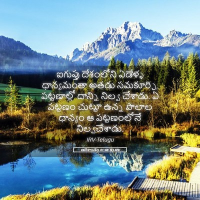 Picture 05 - ఆదికాండం 41:48 TELIRV - ఐగుప్తు దేశంలోని - Bible Verse Picture