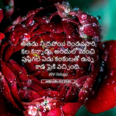 Picture 05 - ఆదికాండం 41:5 TELIRV - అతడు నిద్రపోయి - Bible Verse Picture