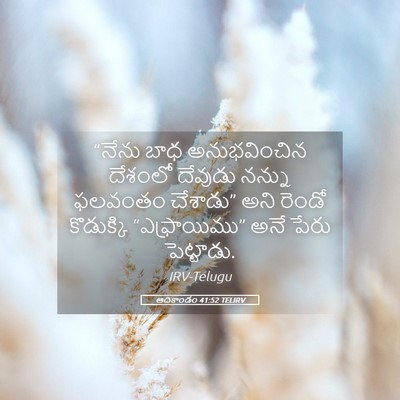 Picture 05 - ఆదికాండం 41:52 TELIRV - “నేను బాధ - Bible Verse Picture