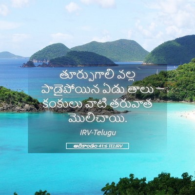 Picture 05 - ఆదికాండం 41:6 TELIRV - తూర్పుగాలి వల్ల - Bible Verse Picture