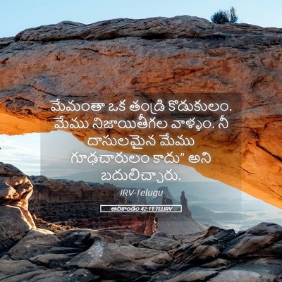 Picture 05 - ఆదికాండం 42:11 TELIRV - మేమంతా ఒక తండ్రి - Bible Verse Picture
