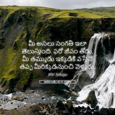 Picture 05 - ఆదికాండం 42:15 TELIRV - మీ అసలు సంగతి ఇలా - Bible Verse Picture