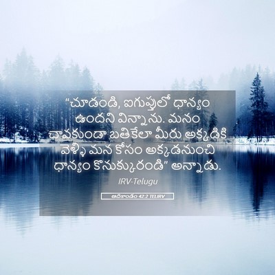 Picture 05 - ఆదికాండం 42:2 TELIRV - “చూడండి, - Bible Verse Picture