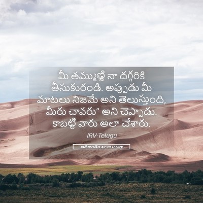 Picture 05 - ఆదికాండం 42:20 TELIRV - మీ తమ్ముణ్ణి నా - Bible Verse Picture