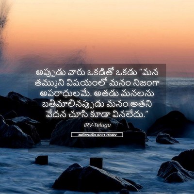 Picture 05 - ఆదికాండం 42:21 TELIRV - అప్పుడు వారు - Bible Verse Picture