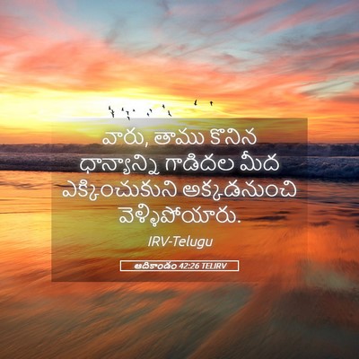 Picture 05 - ఆదికాండం 42:26 TELIRV - వారు, తాము కొనిన - Bible Verse Picture
