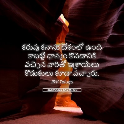Picture 05 - ఆదికాండం 42:5 TELIRV - కరువు కనాను - Bible Verse Picture