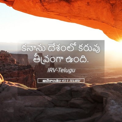 Picture 05 - ఆదికాండం 43:1 TELIRV - కనాను దేశంలో - Bible Verse Picture