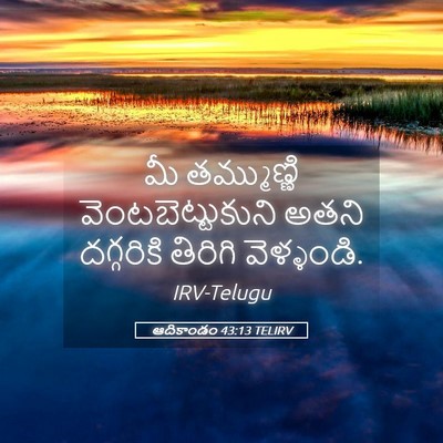 Picture 05 - ఆదికాండం 43:13 TELIRV - మీ తమ్ముణ్ణి - Bible Verse Picture