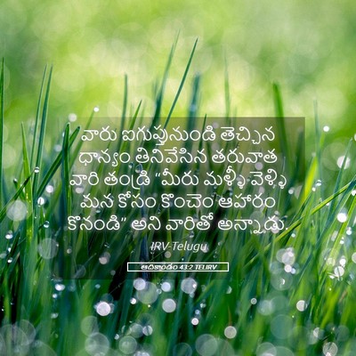 Picture 05 - ఆదికాండం 43:2 TELIRV - వారు ఐగుప్తునుండి - Bible Verse Picture
