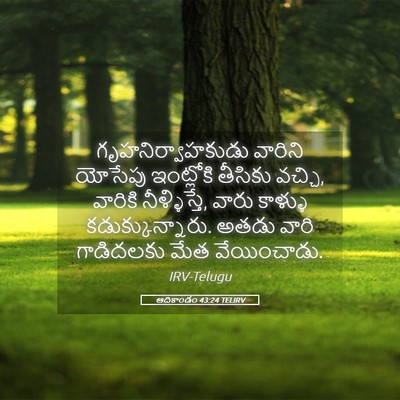 Picture 05 - ఆదికాండం 43:24 TELIRV - గృహనిర్వాహకుడు - Bible Verse Picture