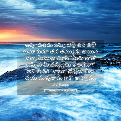 Picture 05 - ఆదికాండం 43:29 TELIRV - అప్పుడతడు - Bible Verse Picture