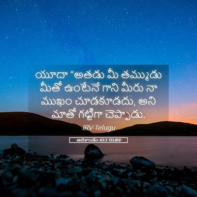 Picture 05 - ఆదికాండం 43:3 TELIRV - యూదా “అతడు మీ - Bible Verse Picture