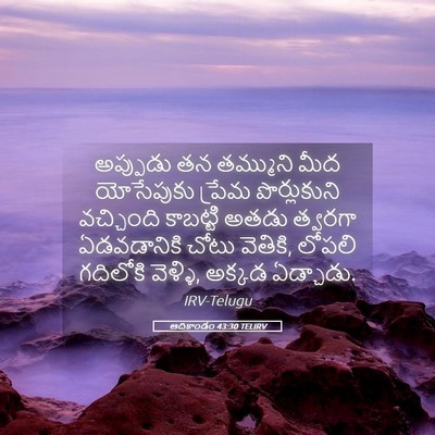 Picture 05 - ఆదికాండం 43:30 TELIRV - అప్పుడు తన - Bible Verse Picture