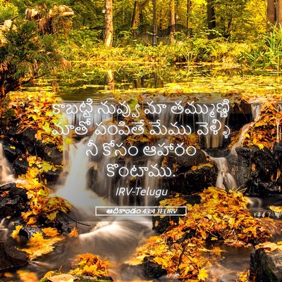 Picture 05 - ఆదికాండం 43:4 TELIRV - కాబట్టి నువ్వు మా - Bible Verse Picture