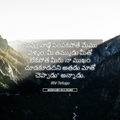 Picture 05 - ఆదికాండం 43:5 TELIRV - నువ్వు వాణ్ణి - Bible Verse Picture