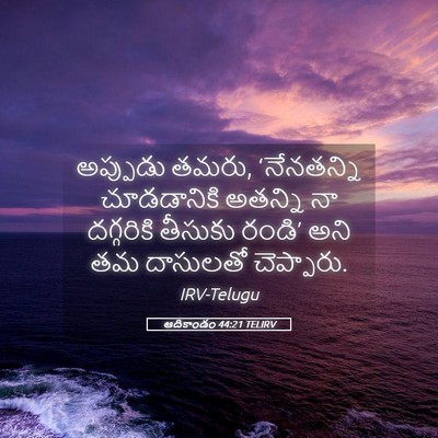 Picture 05 - ఆదికాండం 44:21 TELIRV - అప్పుడు తమరు, - Bible Verse Picture