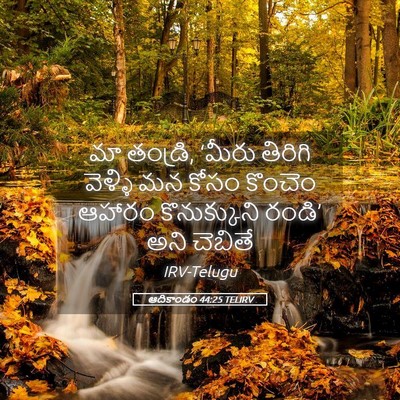 Picture 05 - ఆదికాండం 44:25 TELIRV - మా తండ్రి, ‘మీరు - Bible Verse Picture