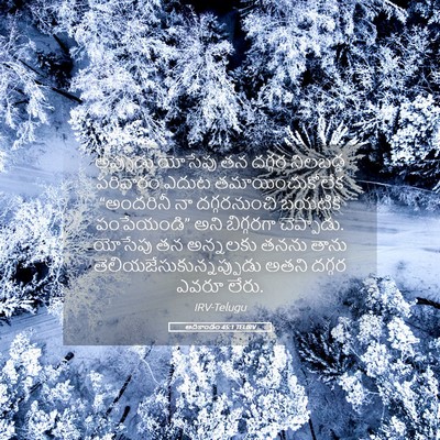 Picture 05 - ఆదికాండం 45:1 TELIRV - అప్పుడు యోసేపు తన - Bible Verse Picture