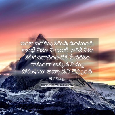 Picture 05 - ఆదికాండం 45:11 TELIRV - ఇంకా ఐదేళ్ళు - Bible Verse Picture
