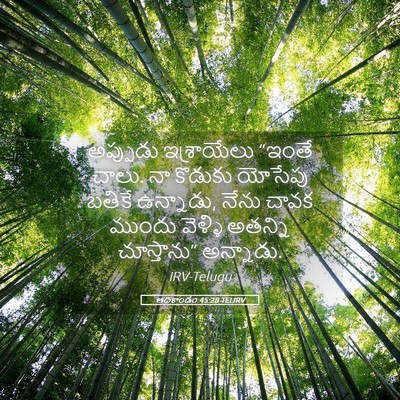 Picture 05 - ఆదికాండం 45:28 TELIRV - అప్పుడు ఇశ్రాయేలు - Bible Verse Picture