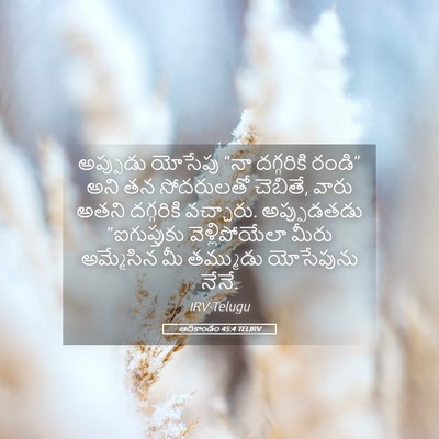 Picture 05 - ఆదికాండం 45:4 TELIRV - అప్పుడు యోసేపు - Bible Verse Picture