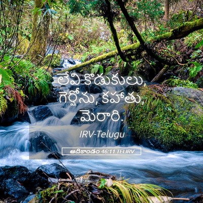 Picture 05 - ఆదికాండం 46:11 TELIRV - లేవి కొడుకులు, - Bible Verse Picture