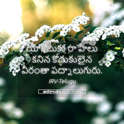 Picture 05 - ఆదికాండం 46:22 TELIRV - యాకోబుకు రాహేలు - Bible Verse Picture