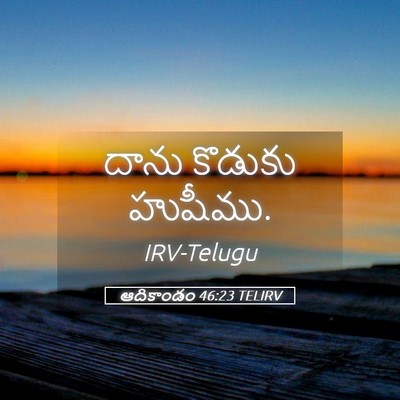 Picture 05 - ఆదికాండం 46:23 TELIRV - దాను కొడుకు - Bible Verse Picture