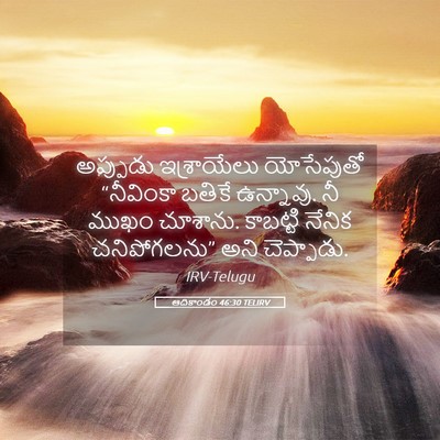 Picture 05 - ఆదికాండం 46:30 TELIRV - అప్పుడు ఇశ్రాయేలు - Bible Verse Picture