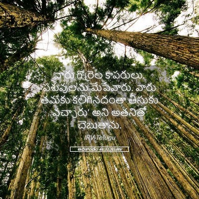Picture 05 - ఆదికాండం 46:32 TELIRV - వారు గొర్రెల - Bible Verse Picture