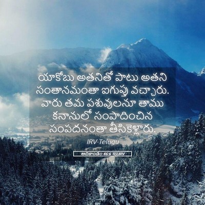 Picture 05 - ఆదికాండం 46:6 TELIRV - యాకోబు అతనితో - Bible Verse Picture