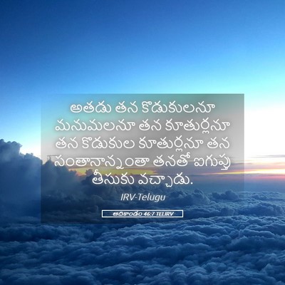 Picture 05 - ఆదికాండం 46:7 TELIRV - అతడు తన కొడుకులనూ - Bible Verse Picture