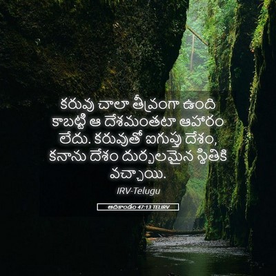 Picture 05 - ఆదికాండం 47:13 TELIRV - కరువు చాలా - Bible Verse Picture